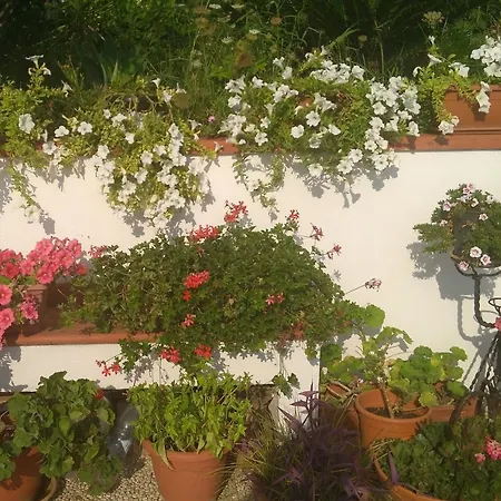 150m2 First Line, Private Entrance To The Sea, Terrasse, Garden ! Appartamento *